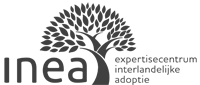 INEA website Logo-INEA